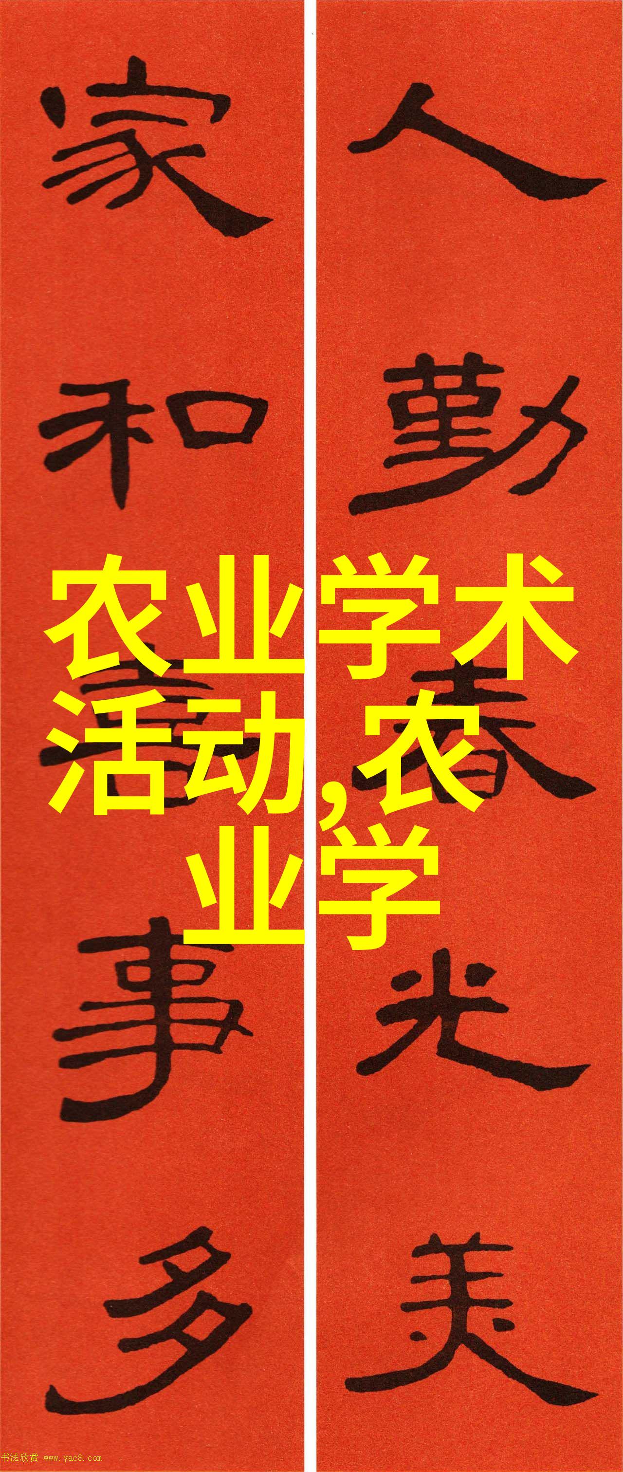 药材种植绿茵田里的宝石采摘记