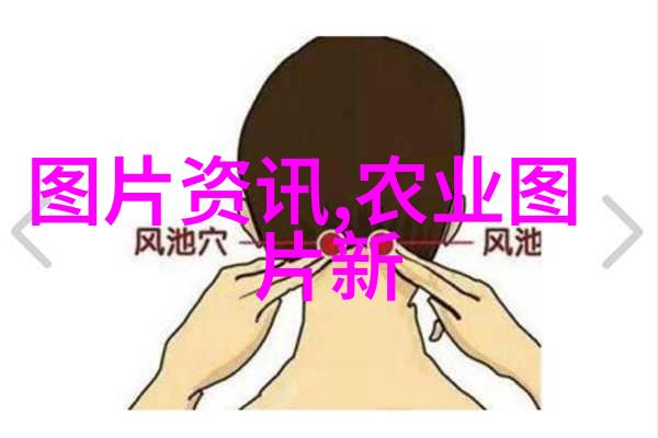 山东蔬菜香寿光大棚的绿色丰收