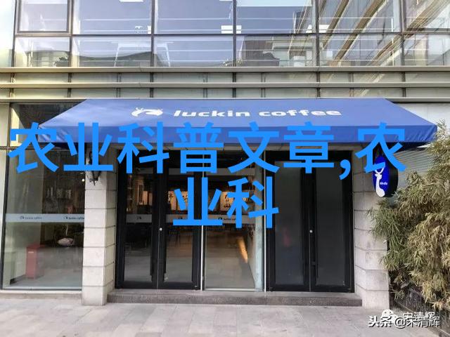 西洋菜花园里的秘密味道