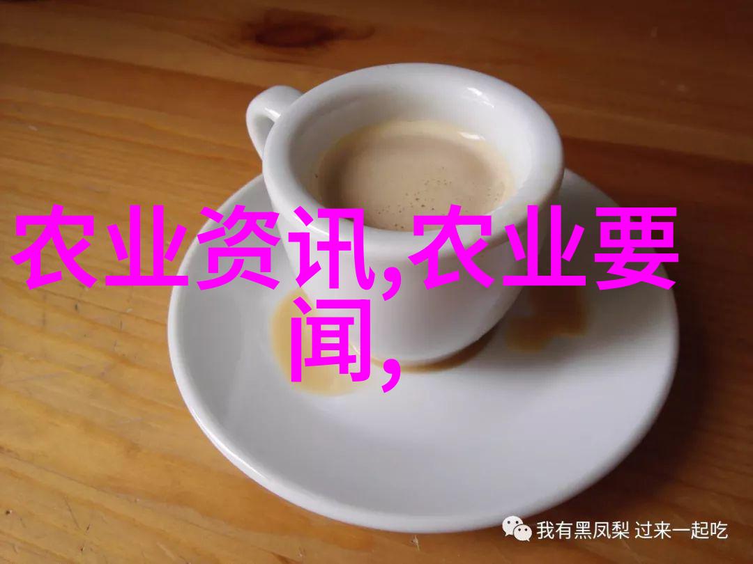 农业行业标准体系研究与实践探究提升农产品质量与安全保障机制