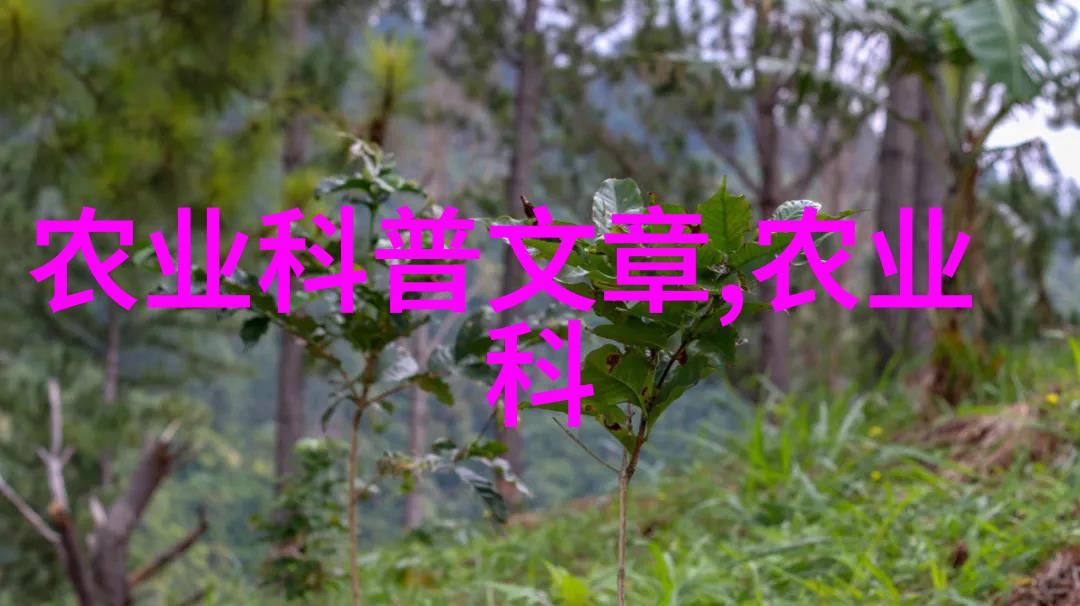 茶艺探索揭秘古韵中的现代趣味