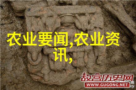 转变生活方式无土水培让我们拥抱新时代农业