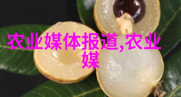 茶叶的药用价值探究从古方到现代医学的视角