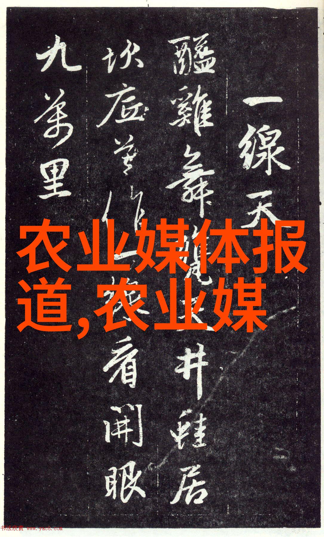 与之二三探索人际关系的深度与广度