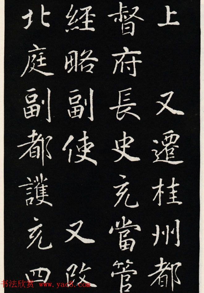 西安苗木市场-绿意盎然的都市蔬菜供应链