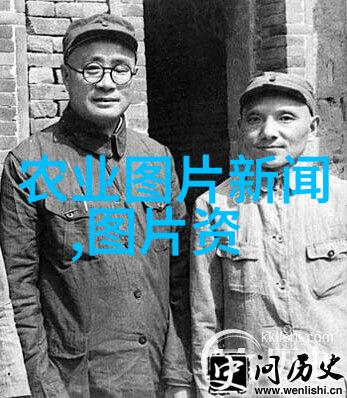 牛的养殖技术及饲养方法-提高牧场效益详解现代牛类养殖与优质饲料配方