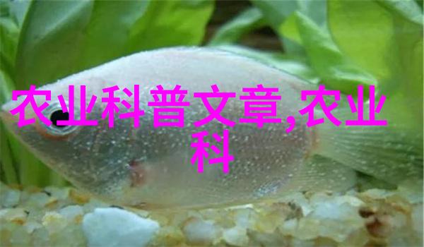 农业管理专业必读十大书籍揭秘成功的种子