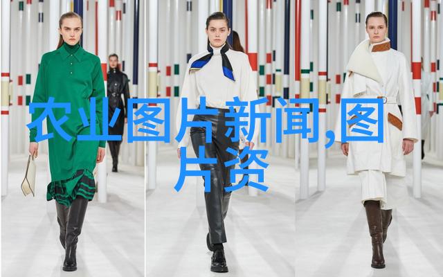 水果种子的分类与特点