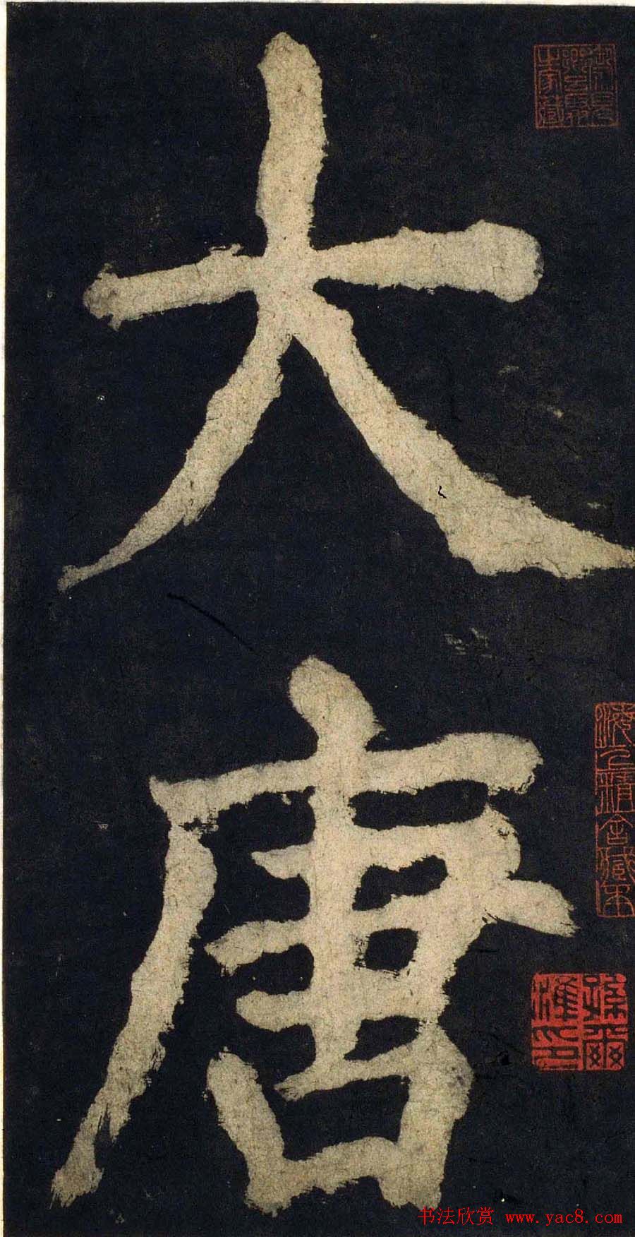 北方旱地药材种植研究探索适宜种植的中药材品种与栽培技术
