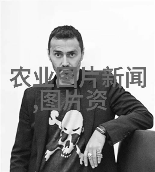 茶艺互动体验探索茶的魅力与文化