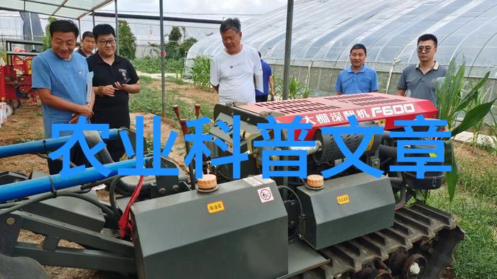 北京昌平草莓全年不断档首批四季草莓已成熟