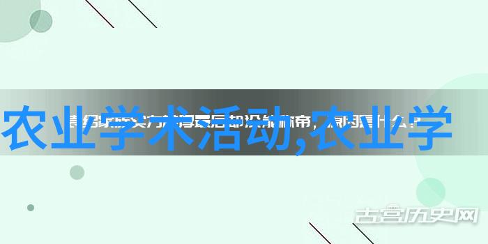 星辰之舞探索夜空中的音乐与美丽