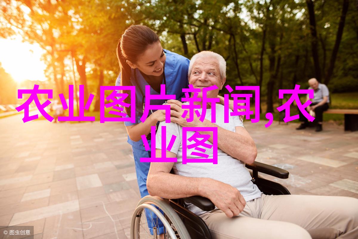 金线莲回收公司守护环保新篇章的绿色先锋