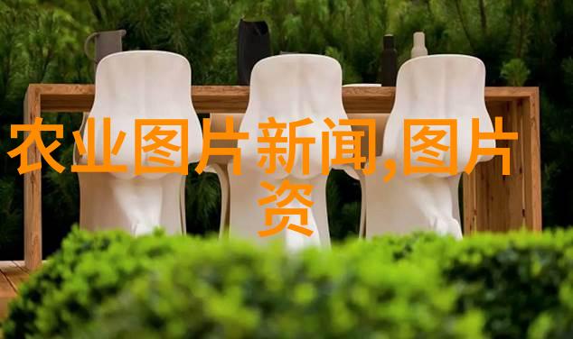 花儿舞台盆栽艺术的幽默盛宴