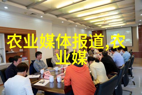 北大荒集团-北大荒集团绿色发展与农业现代化的典范