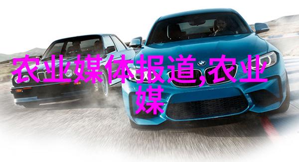 乌桕市场动态与价格分析15公分品种的经济影响评估