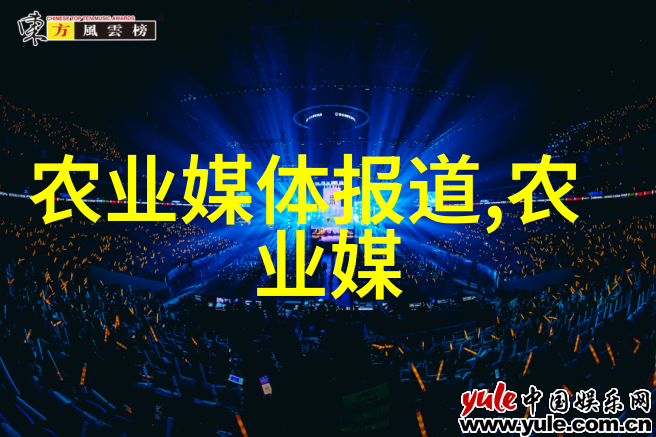 极道花火夏日热浪中的燃烧艺术