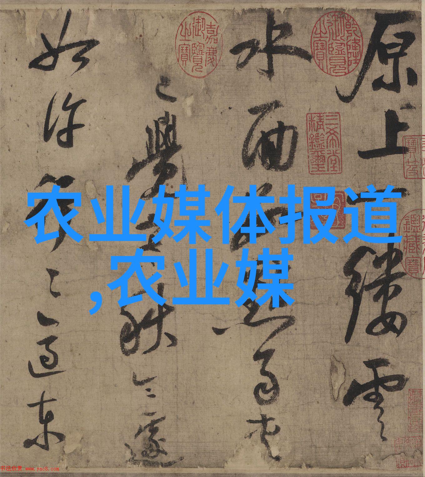 菌类菜谱-探索微生物美味菌类菜谱精选