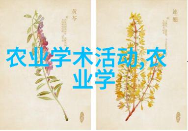 山东轻工职业学院创意设计与产业实践的交汇点