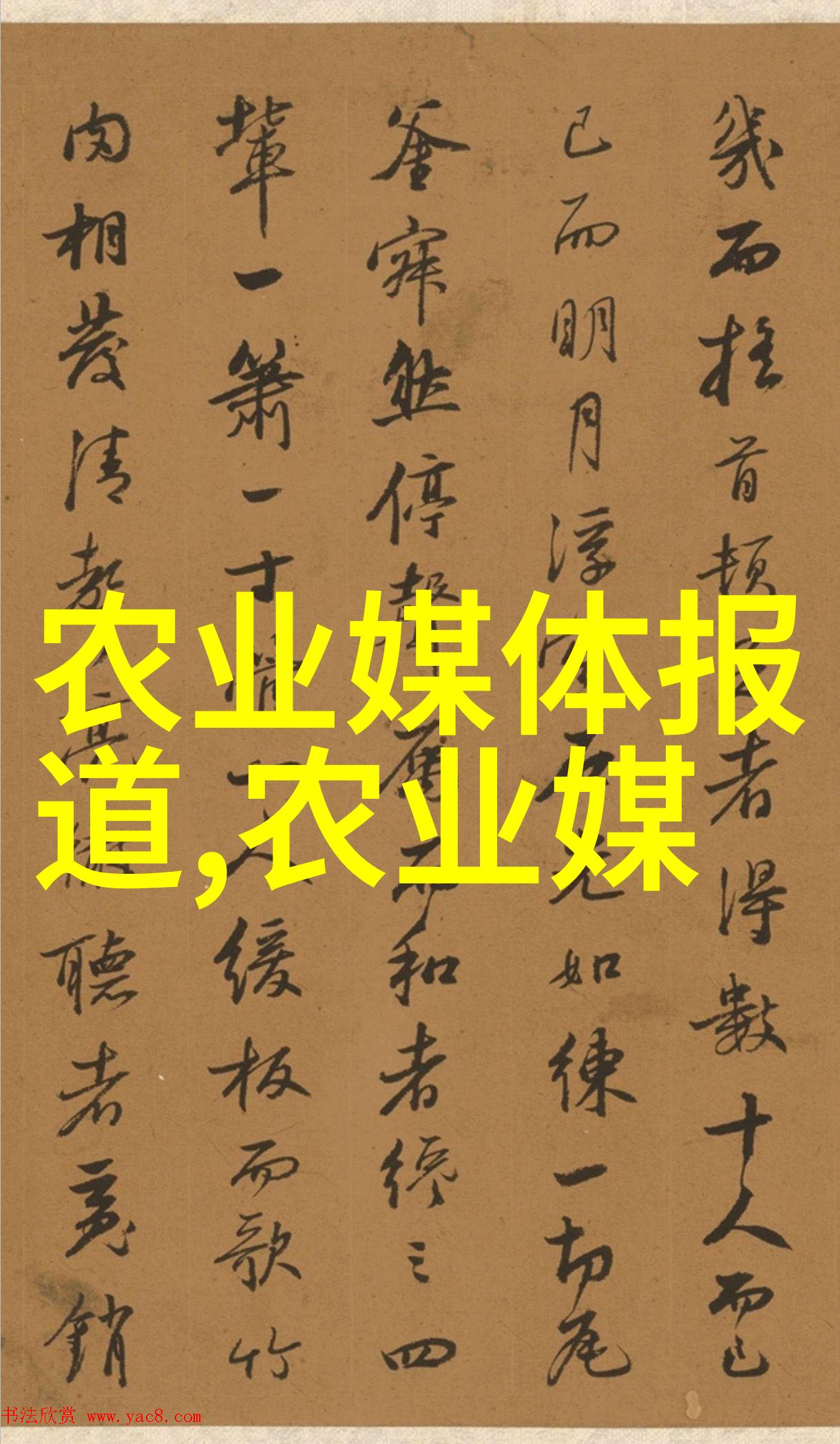 闻香探案录免费观看解析揭秘古装推理的魅力