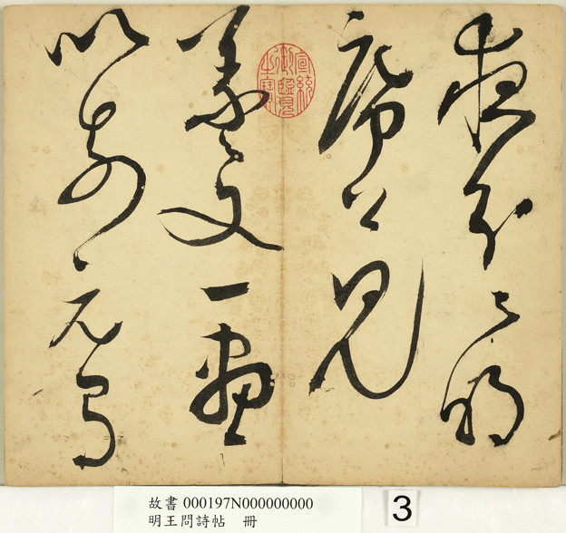 家庭美化盆景花卉展示图片集家居装饰的绿色美学