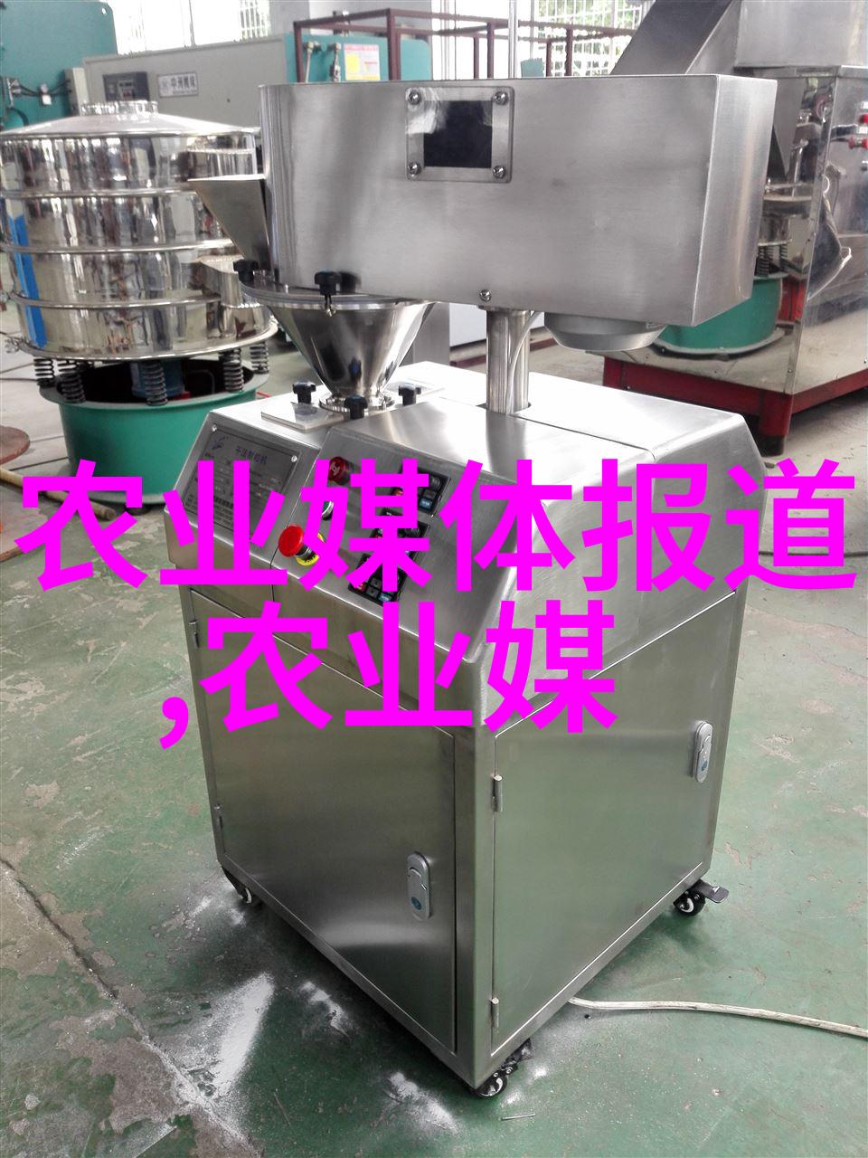 园艺之美选树果实的艺术
