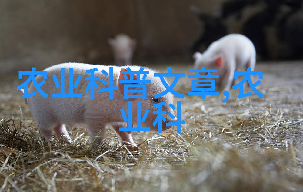 近几年种植哪些药材前景最为广阔探索未来的医疗与农业趋势