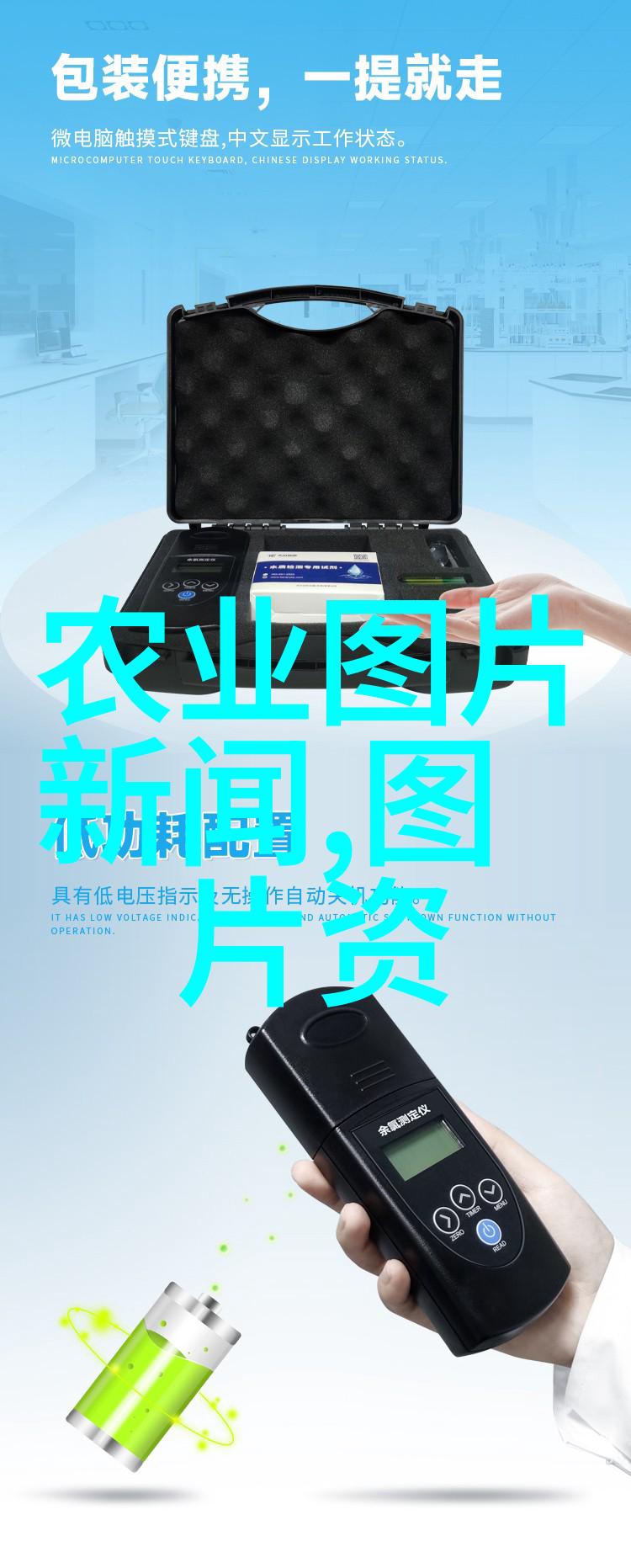 蜇王的心脏问题解析蜜蜂数字心脏及其功能