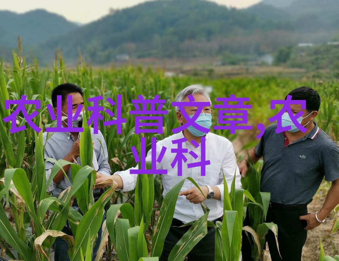 新时代婚姻新风尚六零一代的公派结合