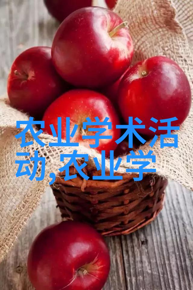 数字媒体技术专业大学排名揭秘学术界的先行者