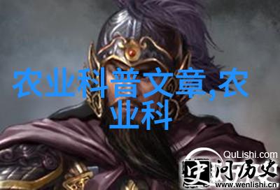花轿喜事我家的女儿今天结婚了大家都来帮忙抬花轿我手上还拿着那根红绸子头纱