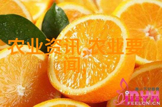 春日野趣寻踪姬菇的秘密世界