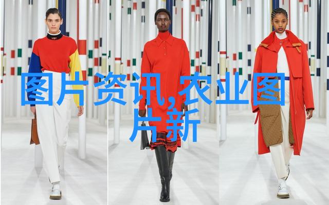 多功能绿化带结合实用性和美观性的最佳植物选择