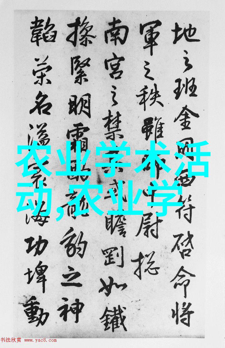 春季养蜂技巧视频春季养蜂的高效技巧与视频教程
