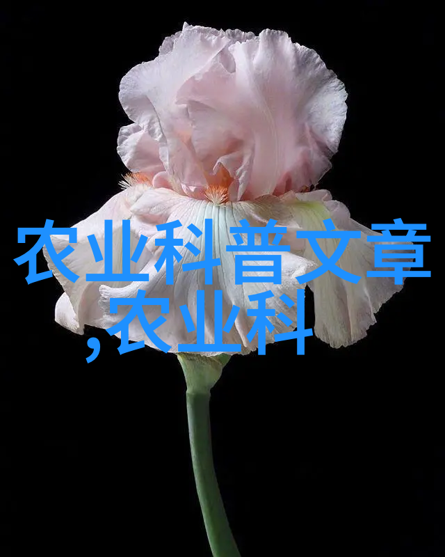 名种茶叶的秘密它们的功效与作用又是什么