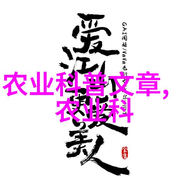 翱翔蓝色星辰法国空姐的夜空探秘