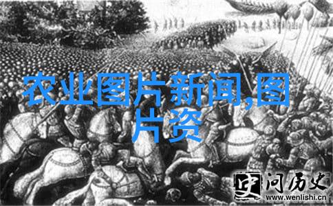 10年银杏树多少一颗探索古木价值与园艺秘诀