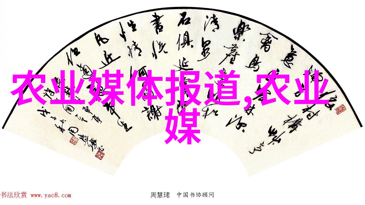 室内十大吉利花引入福祉丰富空间美学