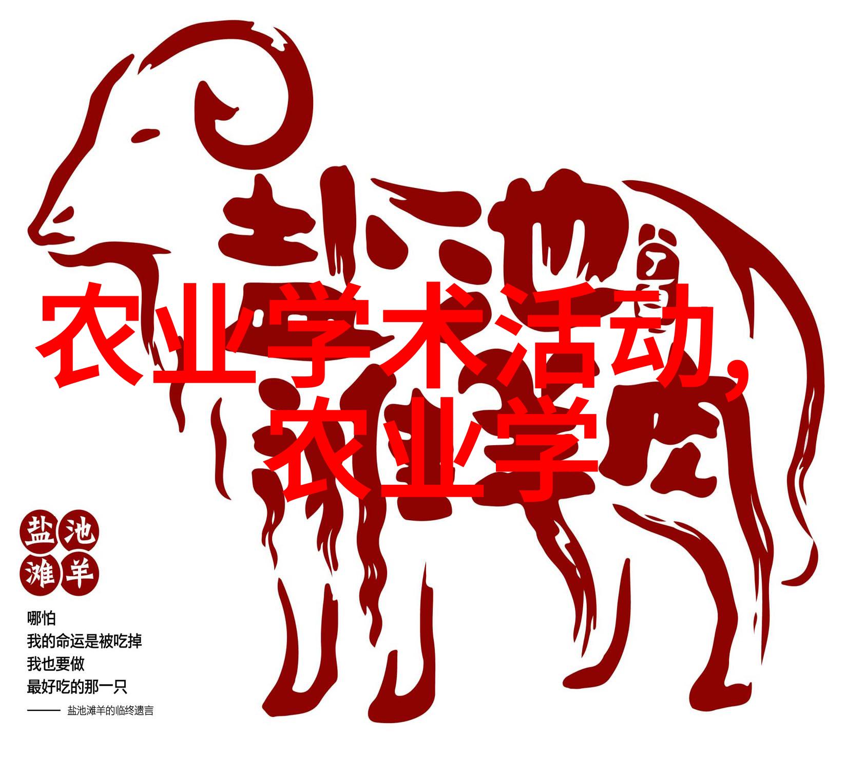 室内种植我是如何让我的小花园在家里绽放的