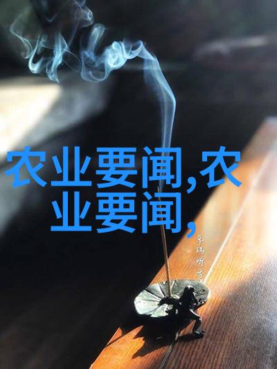 颗粒丰收稻谷烘干机的技术革新与农业发展