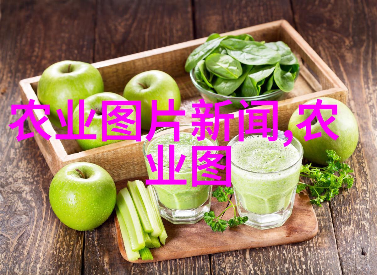 环境适应性培育提高泥鳄健康能力的方法