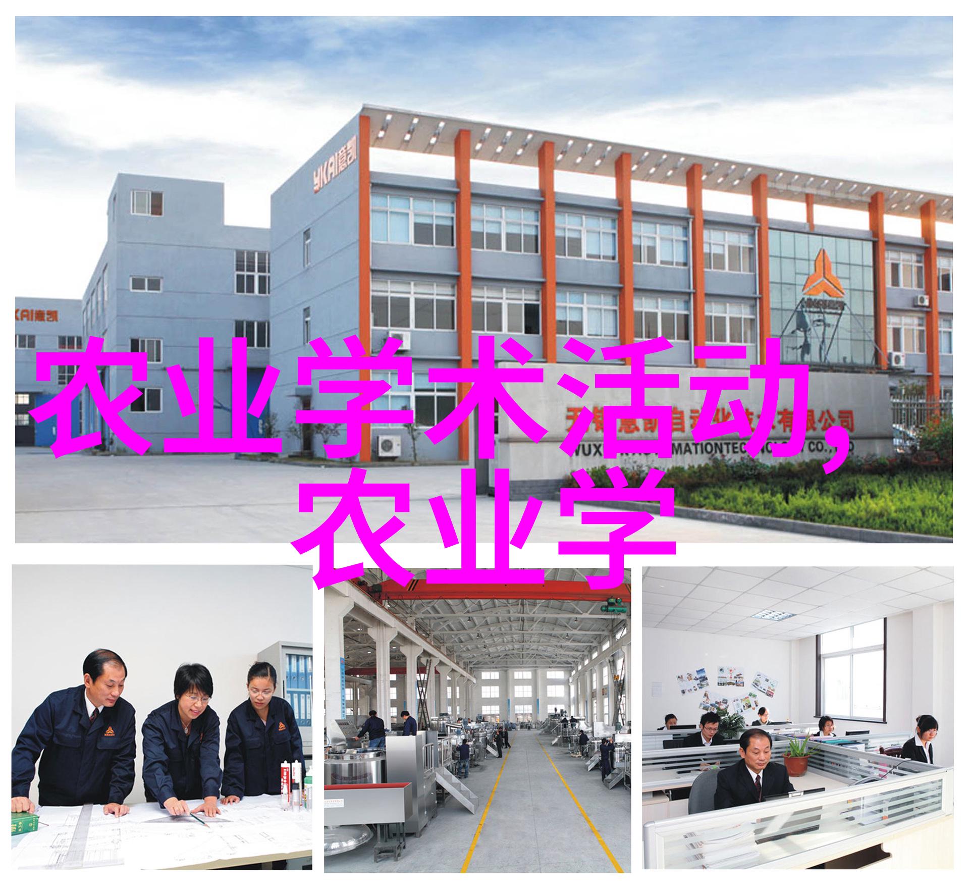 12公分木瓜树种植小萌芽价格解析与养护秘诀