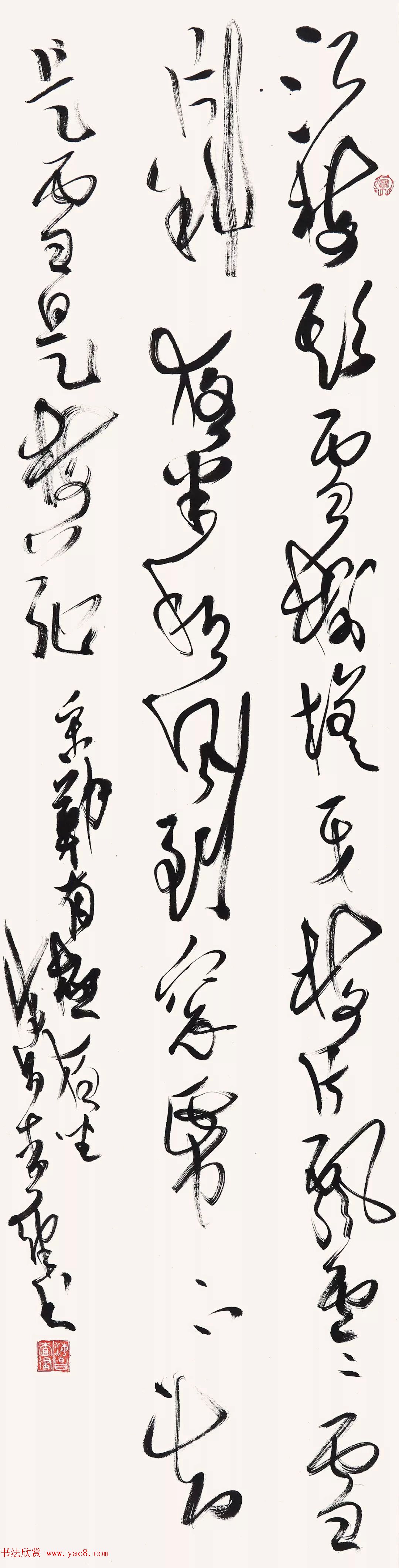 我来告诉你咱们常吃的水果中哪些是用种子种出来的