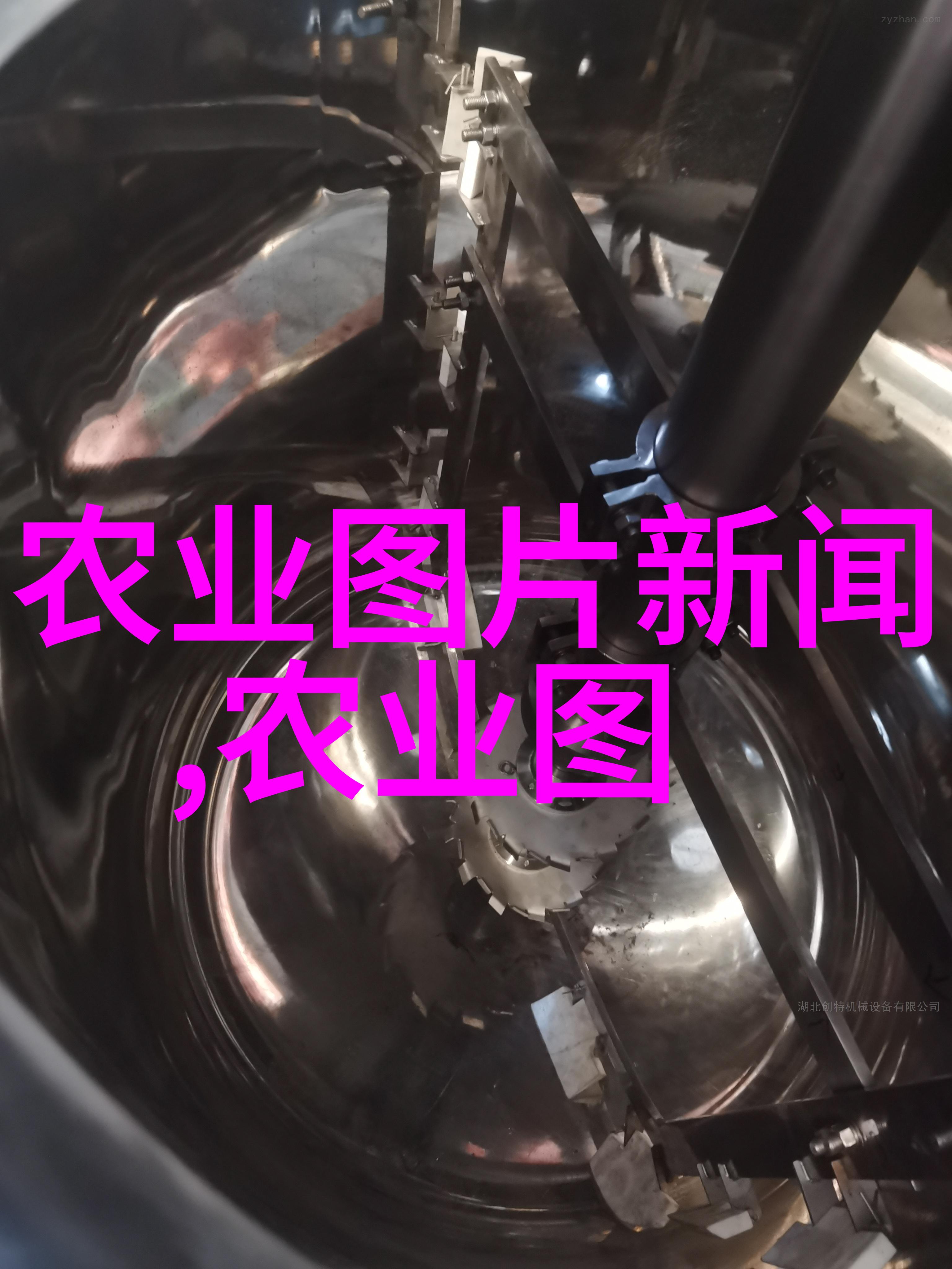 中草药种植从田间到桌面钱不用找直接赚