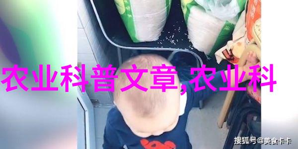 我应该选择嫁接还是分株来繁殖我的苗木为什么呢