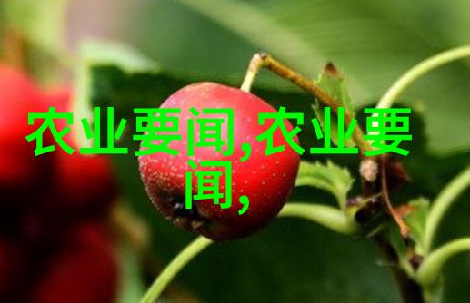 公司寻找种植项目合作企业农业联合发展