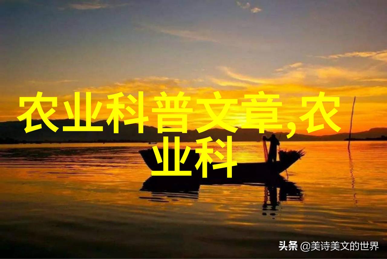 羊群养殖投资成本规模化牧场经营