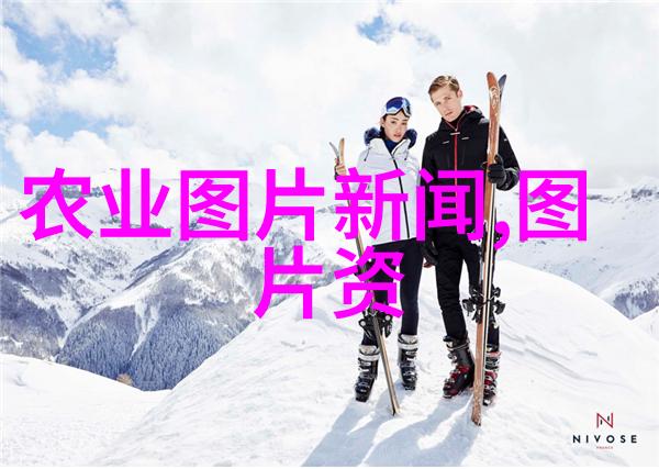 茶叶小百科揭秘香浓世界的历史种类与烹饪艺术