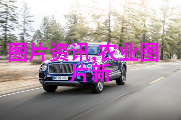 南方红豆树热带风情入家园
