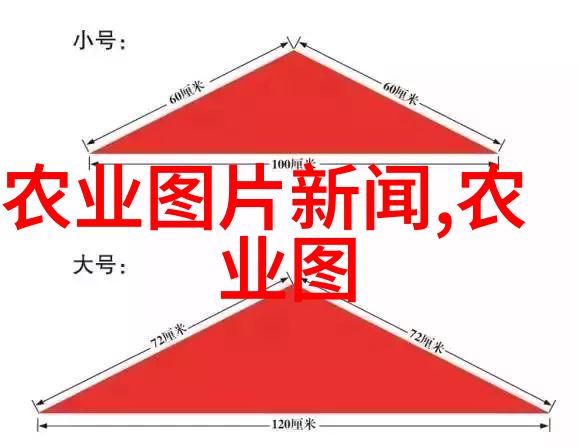 种植业大作战从土豆到金钱跟着庄稼涨财富